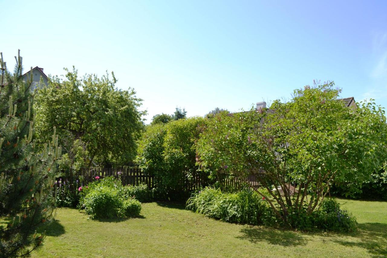 Apartament Aasa *